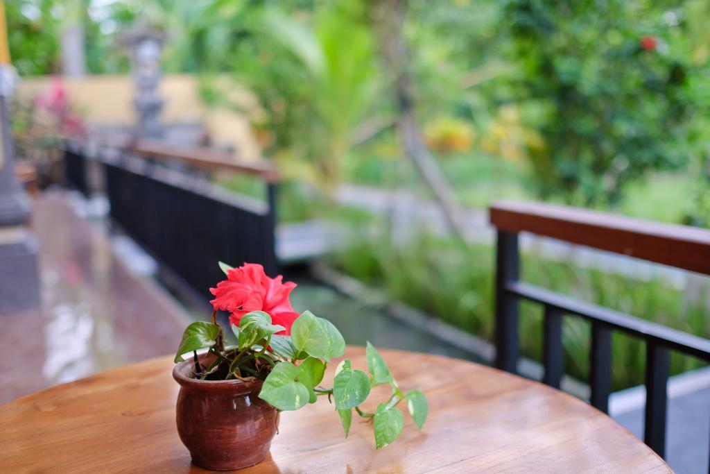 Pondok Ayu Soca Ubud Zewnętrze zdjęcie